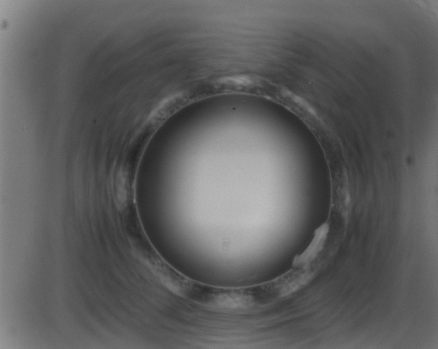 X0000086280708200704051335