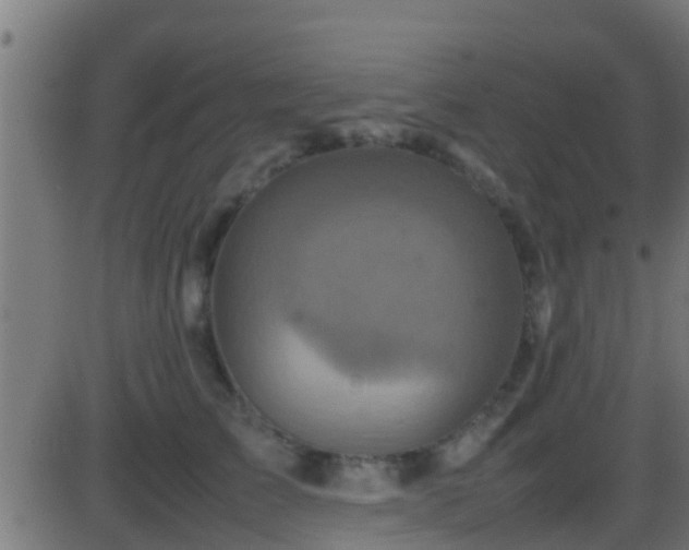 X0000086280709200704051335