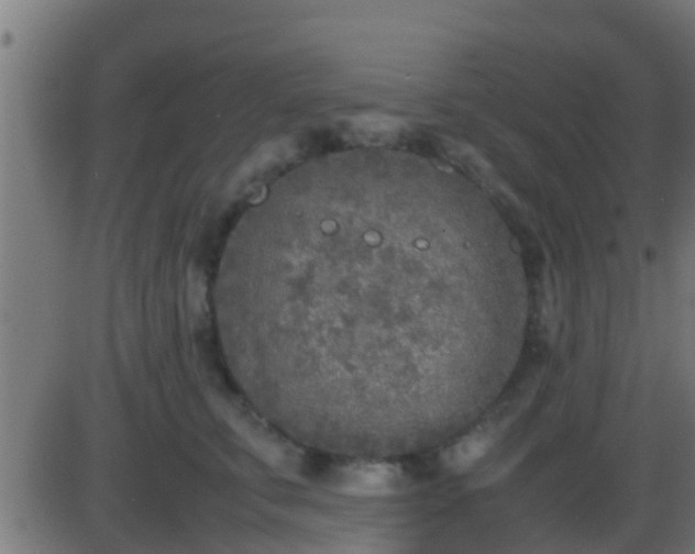 X0000086280711200704051335