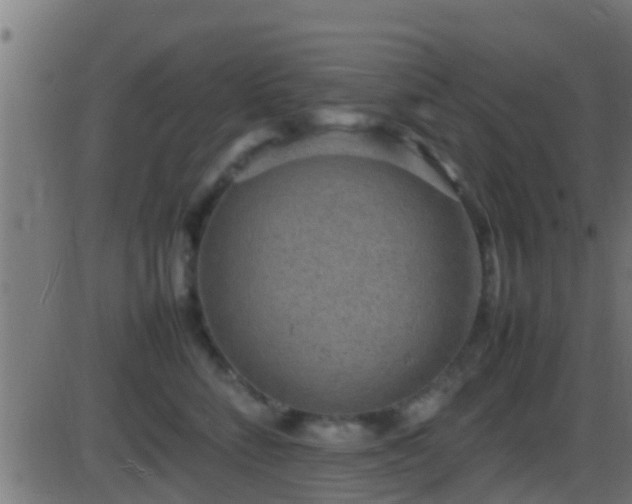 X0000086280712200704051335