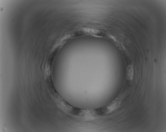 X0000086280713200704051335