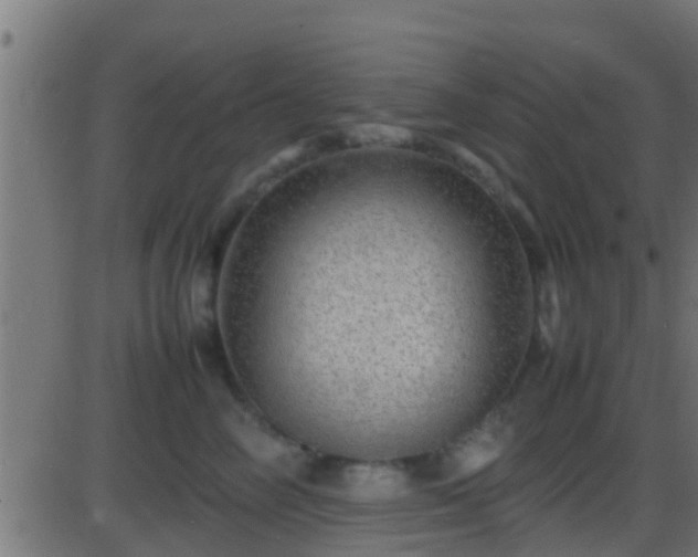 X0000086280714200704051335