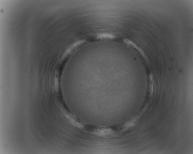 X0000086280716200704051335