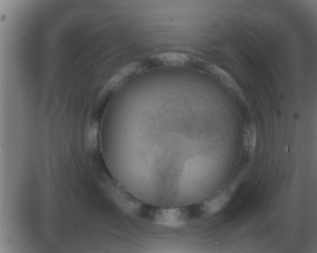 X0000086280717200704051335