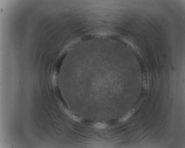 X0000086280718200704051335