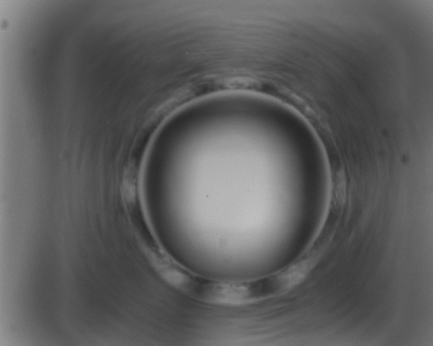 X0000086280719200704051335