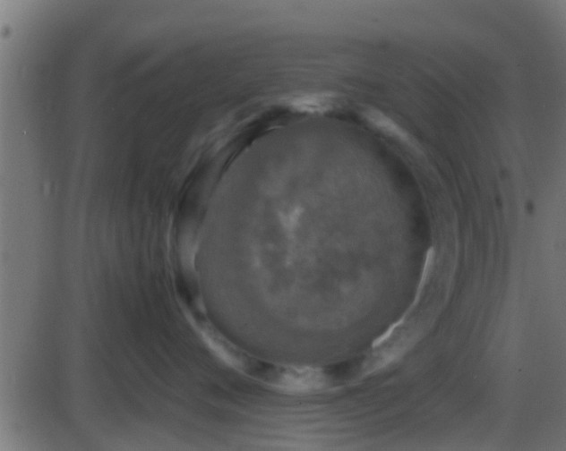 X0000086280720200704051335