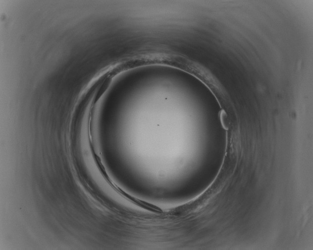 X0000086280722200704051334