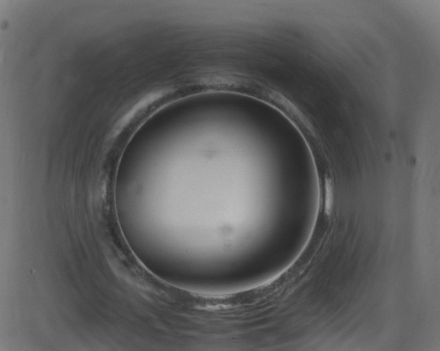 X0000086280723200704051334