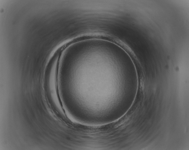 X0000086280724200704051334