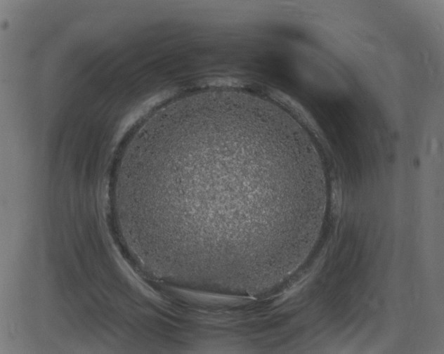 X0000086280725200704051334