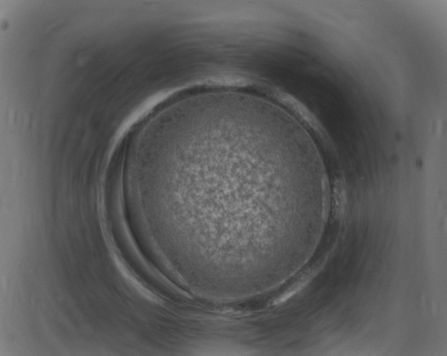 X0000086280726200704051334