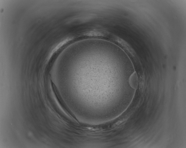 X0000086280727200704051334