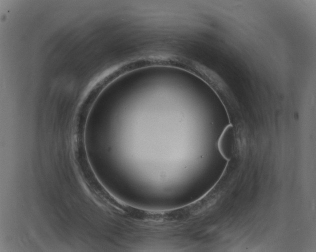 X0000086280728200704051334