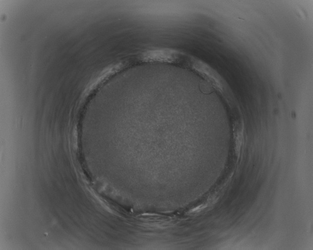 X0000086280729200704051334