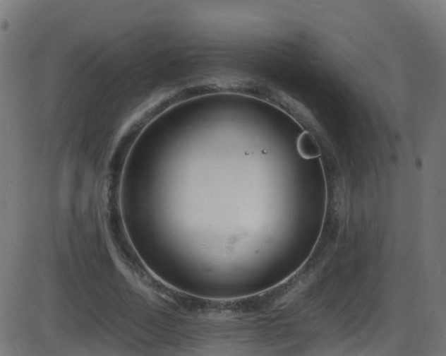 X0000086280730200704051334