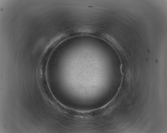 X0000086280731200704051334