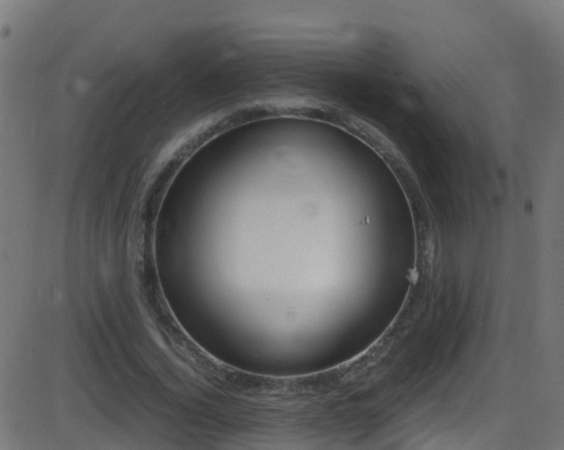 X0000086280732200704051334