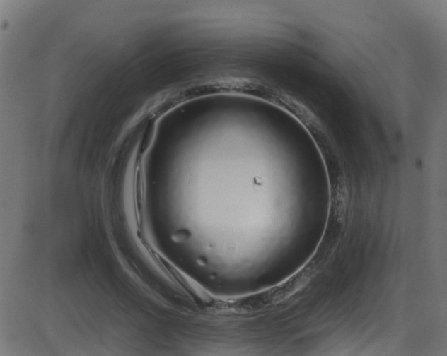 X0000086280734200704051334