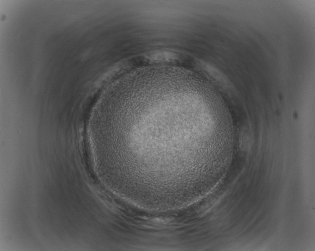 X0000086280737200704051334