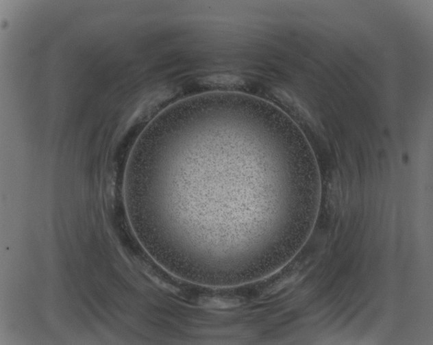 X0000086280739200704051334