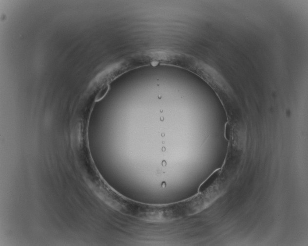 X0000086280740200704051334