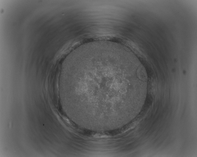 X0000086280742200704051334