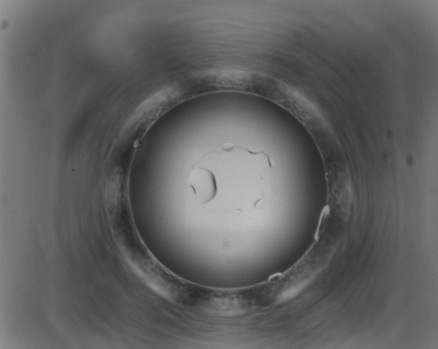 X0000086280744200704051334