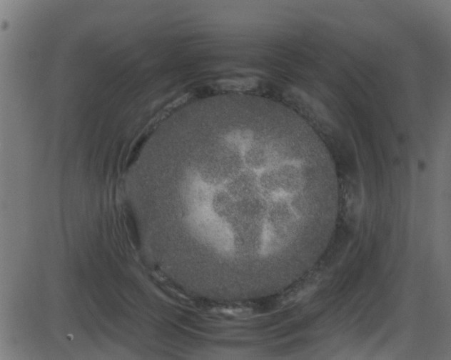 X0000086280745200704051334