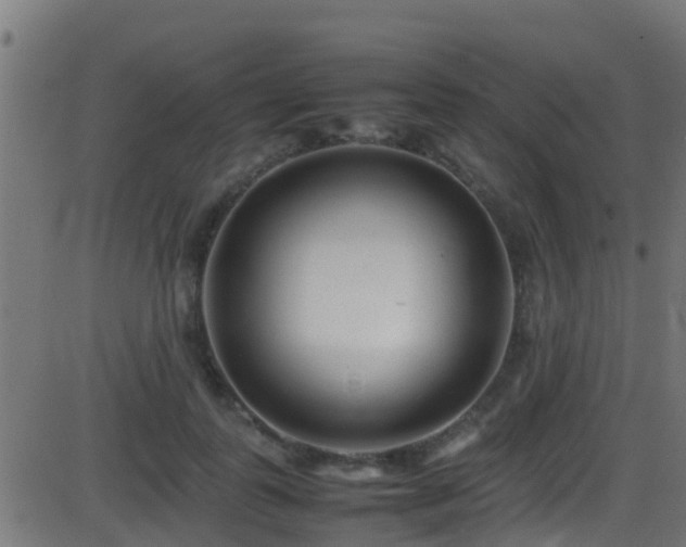 X0000086280747200704051334