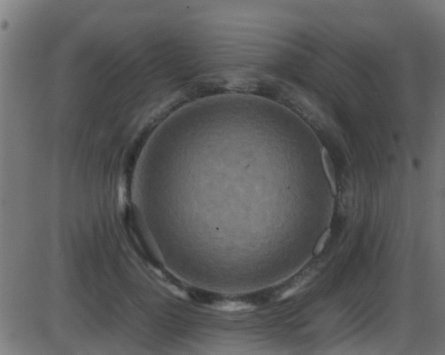 X0000086280748200704051334