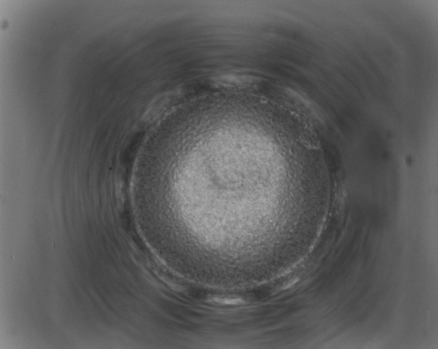 X0000086280749200704051334