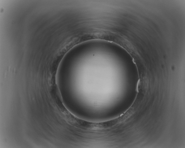 X0000086280750200704051334