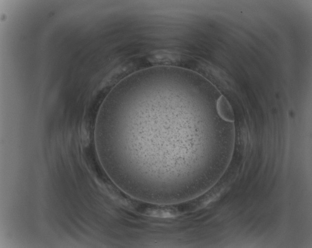 X0000086280751200704051334