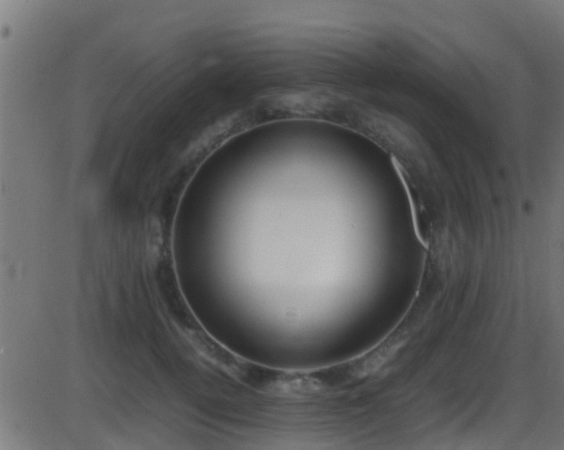 X0000086280752200704051334