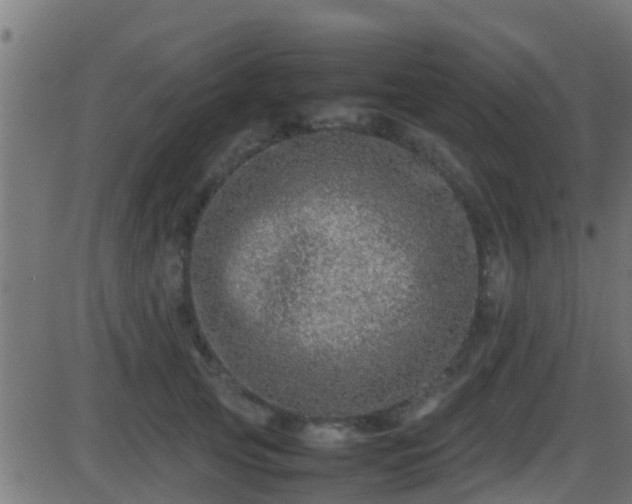 X0000086280753200704051334