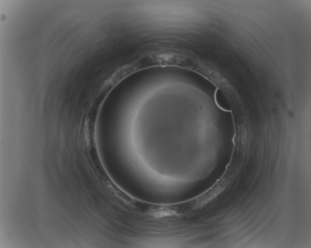 X0000086280754200704051334