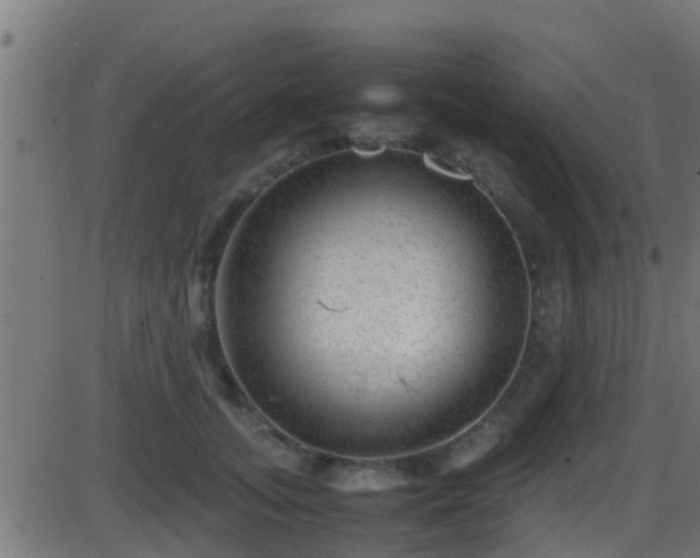 X0000086280755200704051335