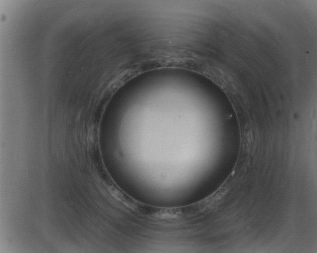 X0000086280756200704051335