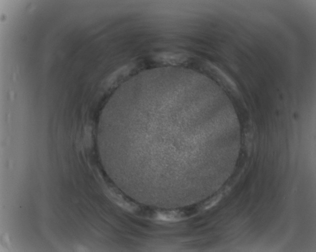 X0000086280757200704051335