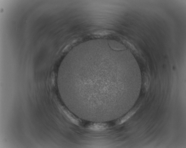 X0000086280758200704051335