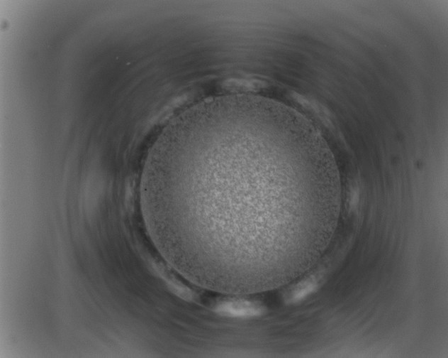 X0000086280759200704051335