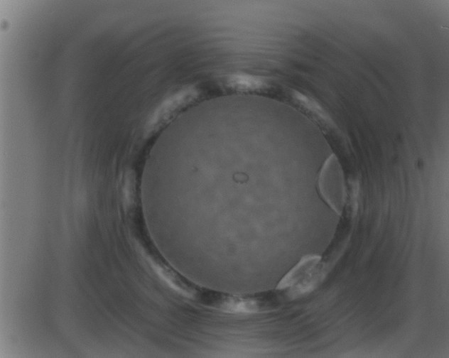 X0000086280760200704051335