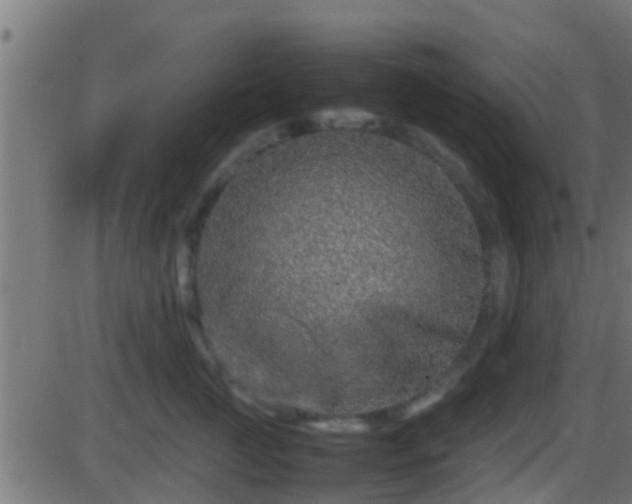 X0000086280761200704051335