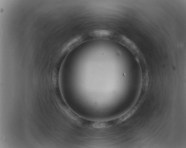 X0000086280762200704051335