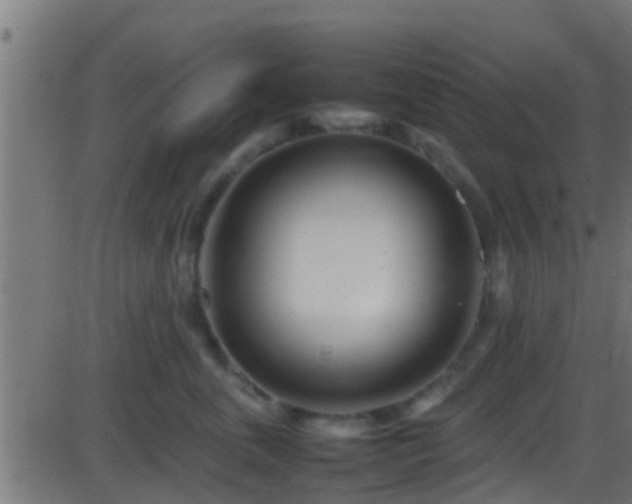 X0000086280763200704051335