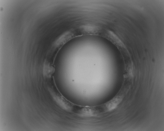 X0000086280764200704051335