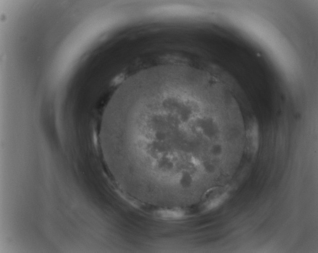 X0000086280765200704051335