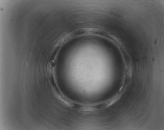 X0000086280766200704051335