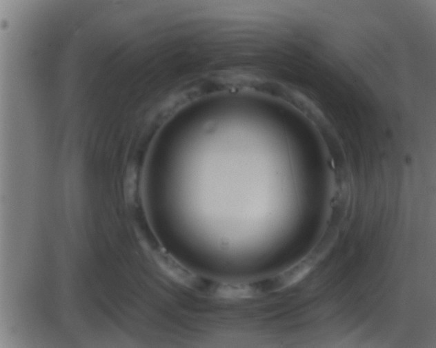 X0000086280767200704051335